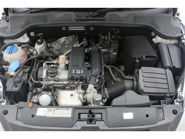 23094749_carP_l_9.jpg