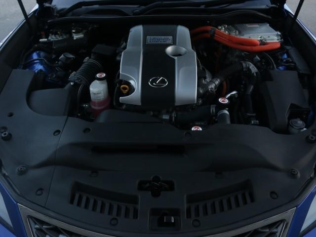 25617822_carP_l_17.jpg