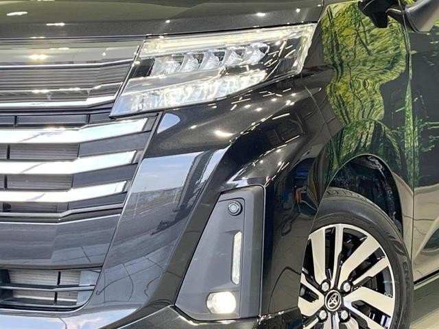 25324094_carP_l_6.jpg