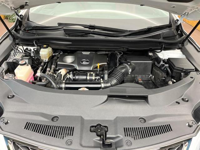 24111656_carP_l_16.jpg