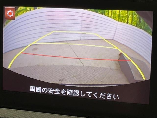 24154945_carP_l_13.jpg