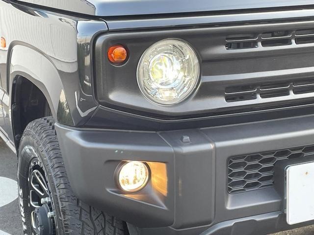 25097007_carP_l_5.jpg
