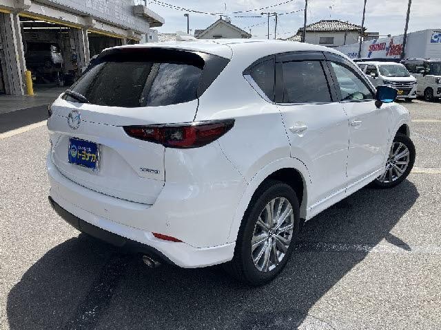 23422437_carP_l_17.jpg