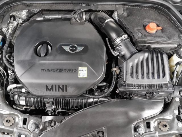 25502274_carP_l_13.jpg