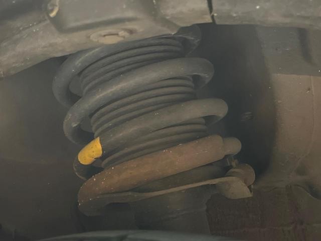 25323796_carP_l_20.jpg