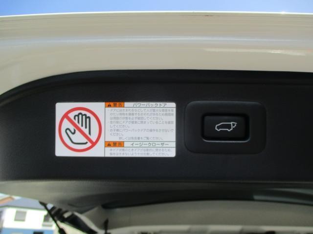 25927743_carP_l_12.jpg
