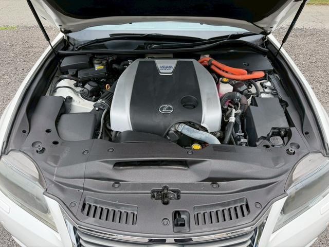 24913188_carP_l_9.jpg