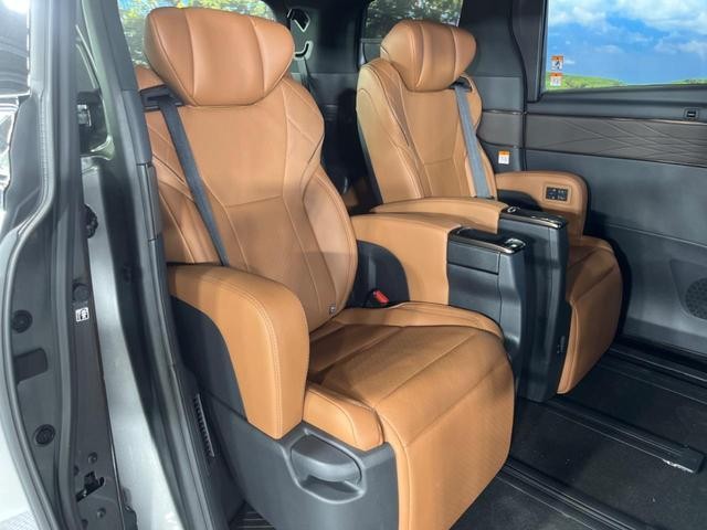 25179586_carP_l_6.jpg