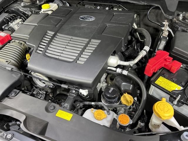 23359008_carP_l_18.jpg