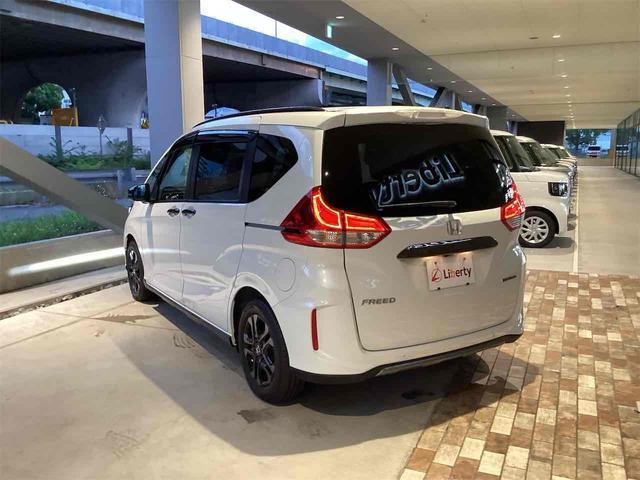 25627662_carP_l_12.jpg