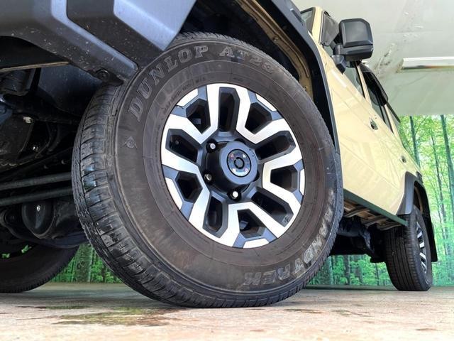 24461240_carP_l_8.jpg