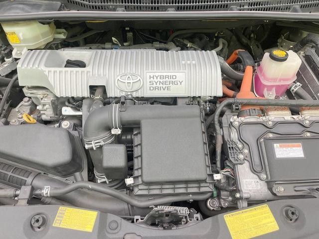 25506917_carP_l_16.jpg