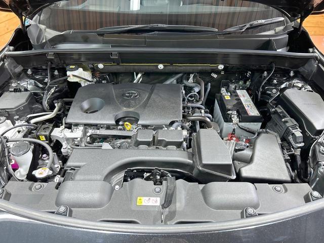 22975714_carP_l_16.jpg