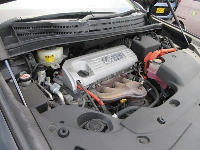 23390773_carP_l_5.jpg