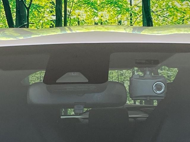 25445876_carP_l_10.jpg