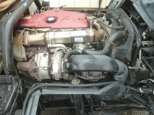 24770893_carP_l_17.jpg