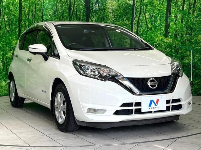 25632784_carP_l_11.jpg