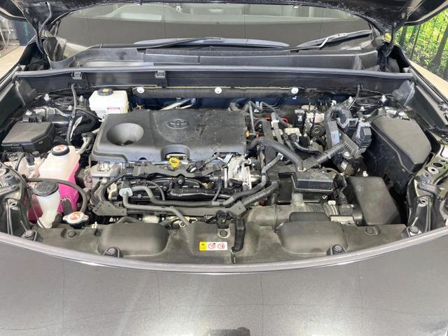 23243654_carP_l_16.jpg