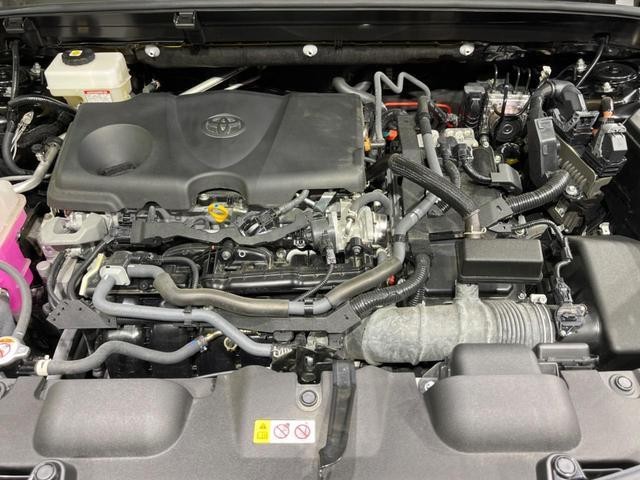 24912872_carP_l_16.jpg