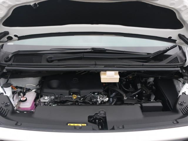 26174092_carP_l_17.jpg