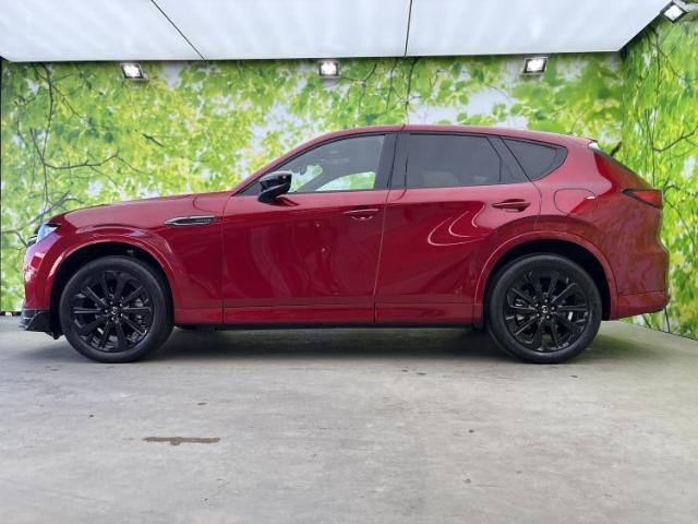 23267900_carP_l_3.jpg