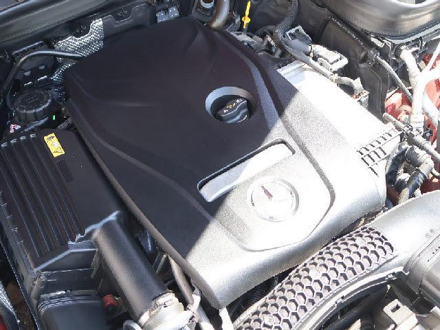 24665595_carP_l_13.jpg