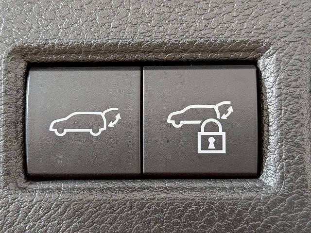 25090967_carP_l_6.jpg
