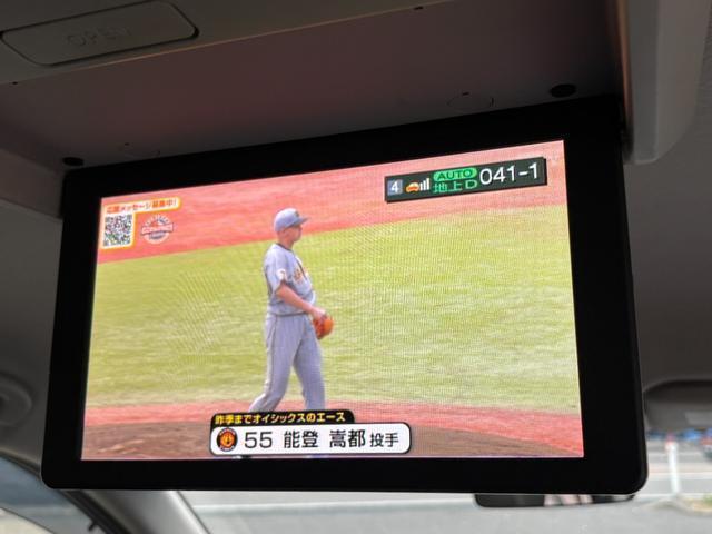 23729036_carP_l_12.jpg