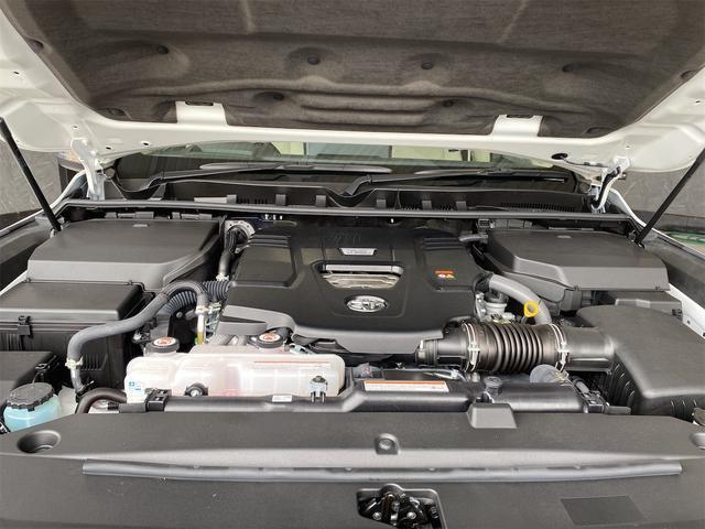 24968581_carP_l_12.jpg