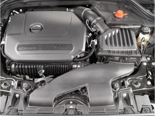 25730506_carP_l_14.jpg