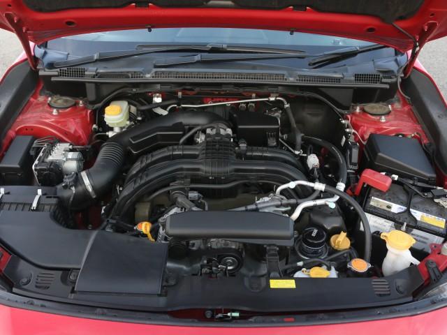 23986351_carP_l_17.jpg
