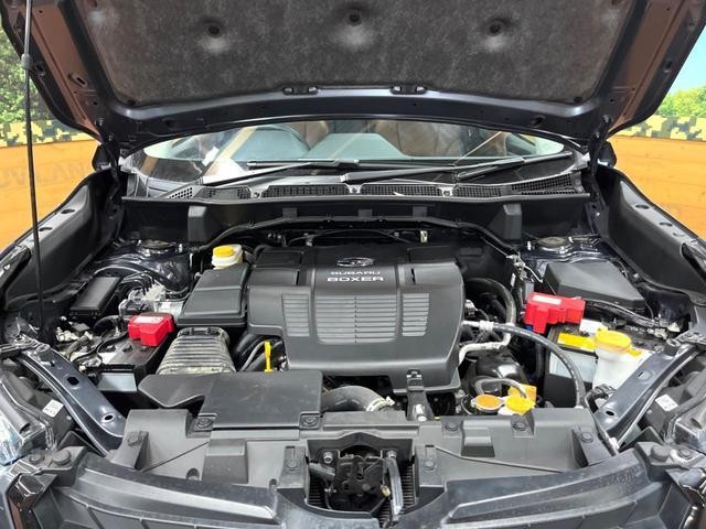 26861010_carP_l_18.jpg