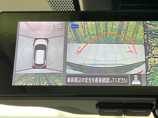 23262705_carP_l_4.jpg