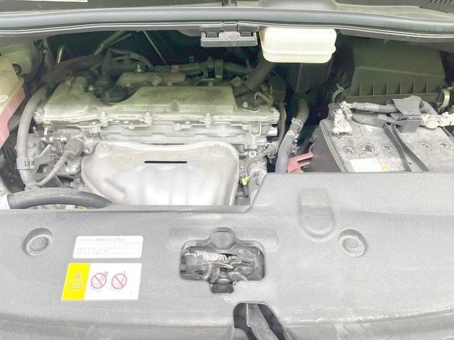 26168564_carP_l_16.jpg
