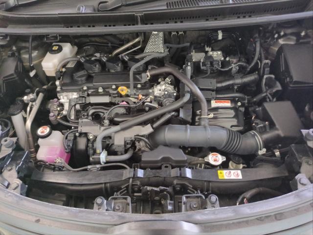 25843447_carP_l_17.jpg