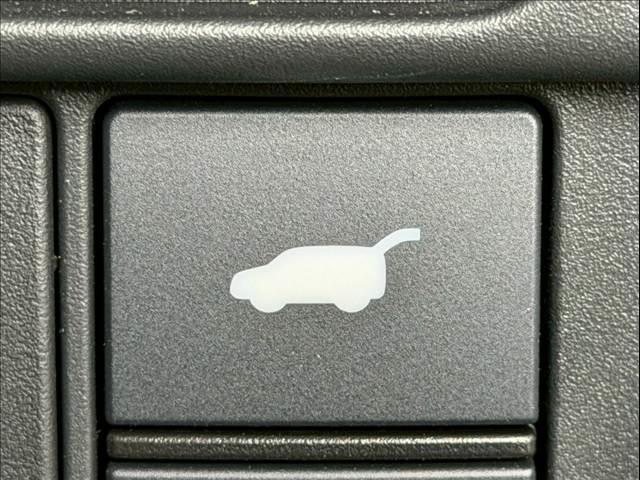 22869651_carP_l_19.jpg
