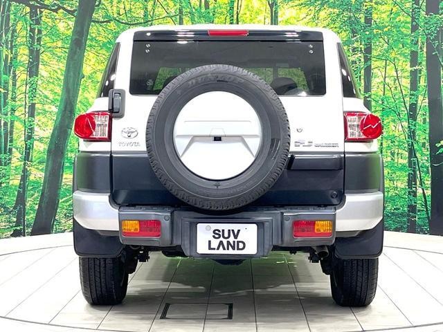 25179460_carP_l_11.jpg