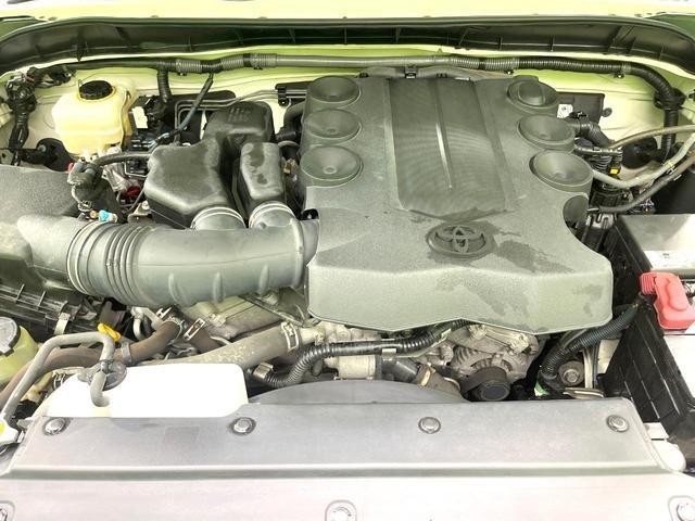 25179460_carP_l_18.jpg