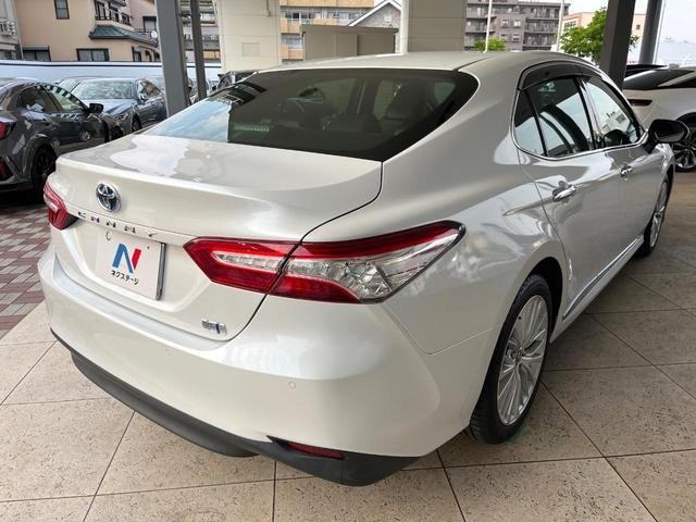 24521032_carP_l_16.jpg