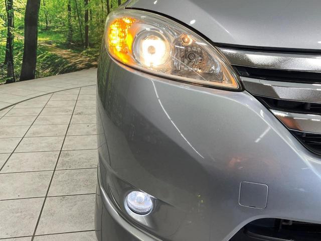 24199740_carP_l_7.jpg
