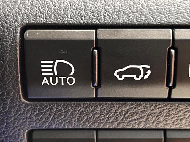 23437236_carP_l_19.jpg