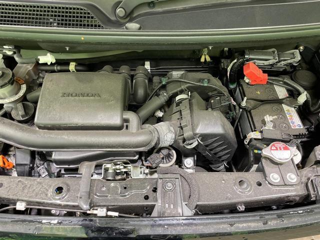 24134466_carP_l_16.jpg