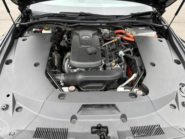 25521873_carP_l_5.jpg