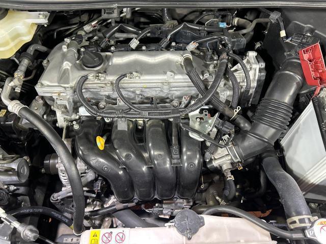 24501248_carP_l_16.jpg