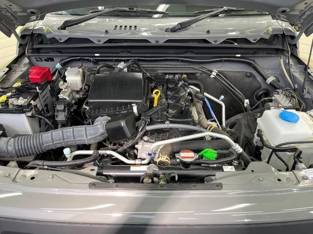 26105647_carP_l_16.jpg
