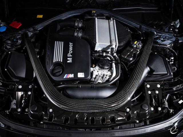 24074434_carP_l_17.jpg