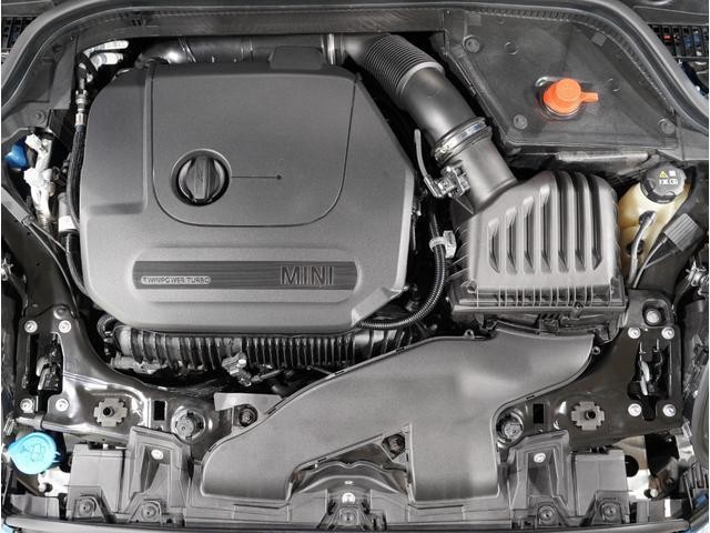 25730553_carP_l_14.jpg