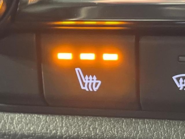 23281643_carP_l_4.jpg