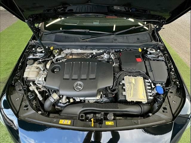 24619686_carP_l_6.jpg