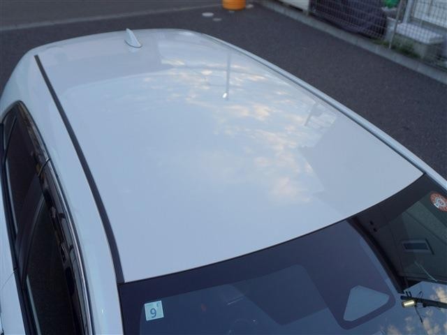 27032680_carP_l_10.jpg